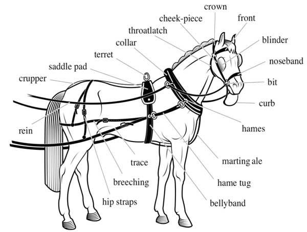 Harness & Saddle Making